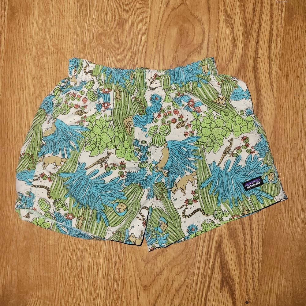 Patagonia Swim Trunks